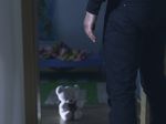 Polícia rozbila medzinárodnú sieť pedofilov