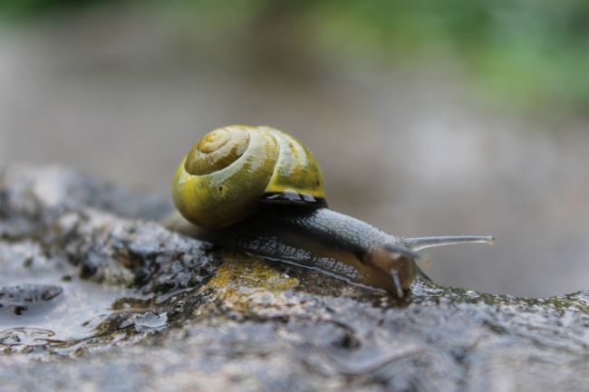 Niektoré časti Slovenska môžu potrápiť búrky.  Ktoré?