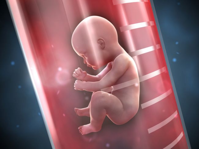 Lekár používal na umelé oplodnenie svoje spermie. Priznal, že splodil 60 detí