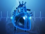 Nepravidelný rýchly tep môže signalizovať srdcovú arytmiu