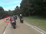 Video: Keď jeleň zvládne situáciu na ceste lepšie ako motocyklista