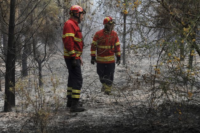 Hasiči v Portugalsku zlikvidovali už druhý veľký lesný požiar