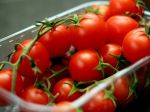 Ako rozpoznať chutné paradajky: 6 vecí, ktoré by ste si mali všímať