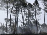 Lesný požiar, ktorý ohrozoval národný park v Andalúzii, je pod kontrolou