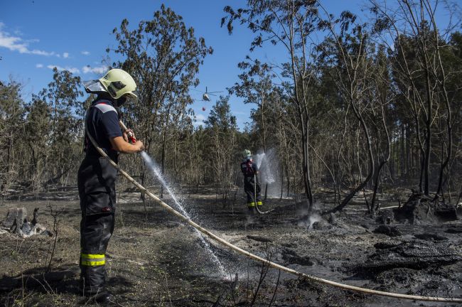 Video: 130 hasičov stále zasahuje pri rozsiahlom požiari