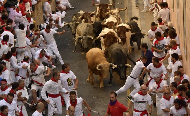Počas prvého dňa fiesty v Pamplone nabrali býky na rohy dve osoby