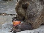 Hasiči zasahujú pri kritickej situácií v bratislavskej zoo