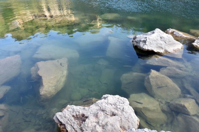 V okolí Třebíča sal pri kúpaní v rybníku utopil slovenský občan
