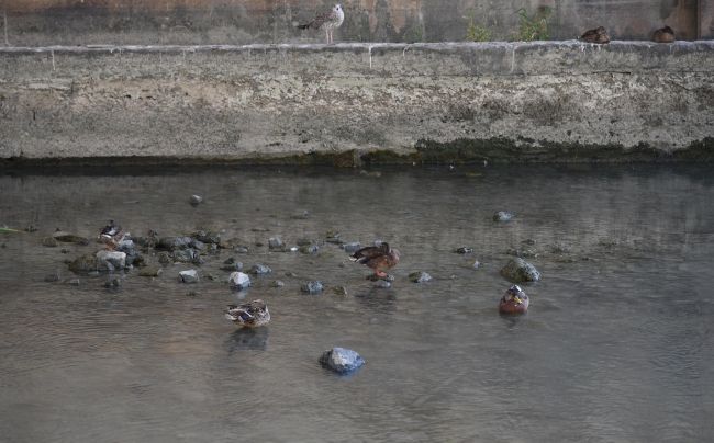 Búrky si v Nemecku vyžiadali ďalšiu obeť a ovplyvnili i návrat dovolenkárov