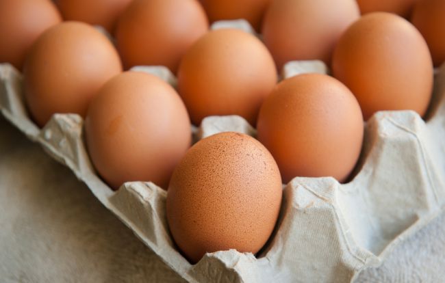 Holandsko a Nemecko sťahuje z predaja milióny kontaminovaných vajec 