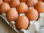 Holandsko a Nemecko sťahuje z predaja milióny kontaminovaných vajec 