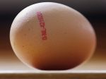 Vajcia obsahujúce pesticíd sťahujú z trhu už aj vo Švajčiarsku