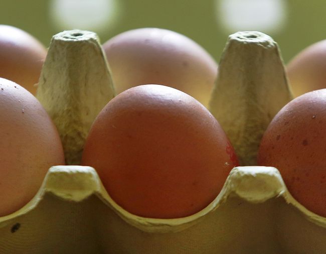 EÚ skúma, či Belgicko nezanedbalo svoju povinnosť pri fipronilovom škandále