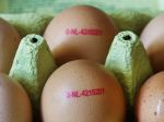 V Rumunsku našli kontaminované vaječné žĺtky