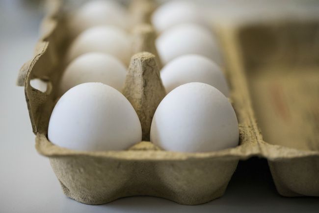 Prítomnosť fipronilu v slepačích vajciach zaznamenali v 15 krajinách EÚ