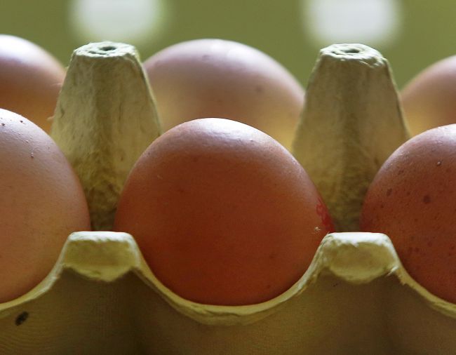Holandsko priznalo chyby ohľadne kauzy vajec kontaminovaných pesticídom