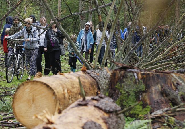 Aktivisti z Európy protestovali proti výrubu v Bielovežskom pralese