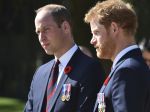 Princovia William a Harry otvorene hovoria o tom, ako prežívali Dianinu smrť