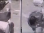 Video: Lupič sa so svojím vstupom do budovy prerátal