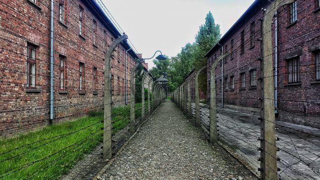 Známa popieračka holokaustu pôjde na dva roky do väzenia