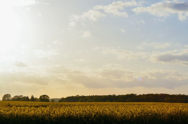 POČASIE: Aký je august posledný deň, taká má byť celá jeseň.