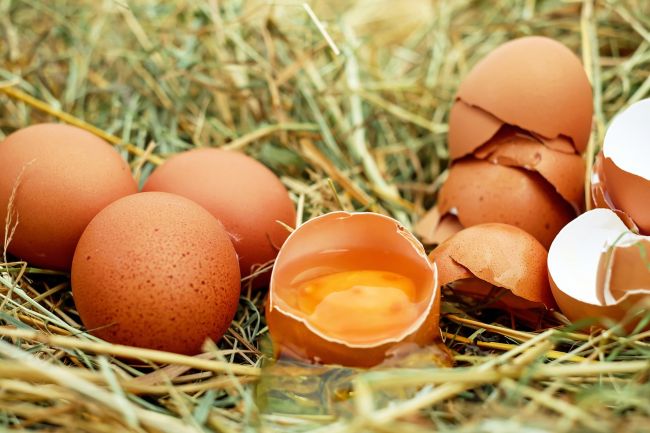 Zdrojom rozšírenia fipronilovej kontaminácie je zrejme Rumunsko