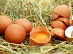 Zdrojom rozšírenia fipronilovej kontaminácie je zrejme Rumunsko