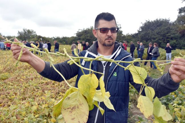 Potraviny bez GMO by mali byť v budúcnosti označované, začať by sa malo pri sóji