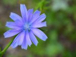 Marianna je oddaná a neoblomná