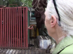 Video: Ochranári vypustili šimpanza do prírody. Ich rozlúčka dojala internet
