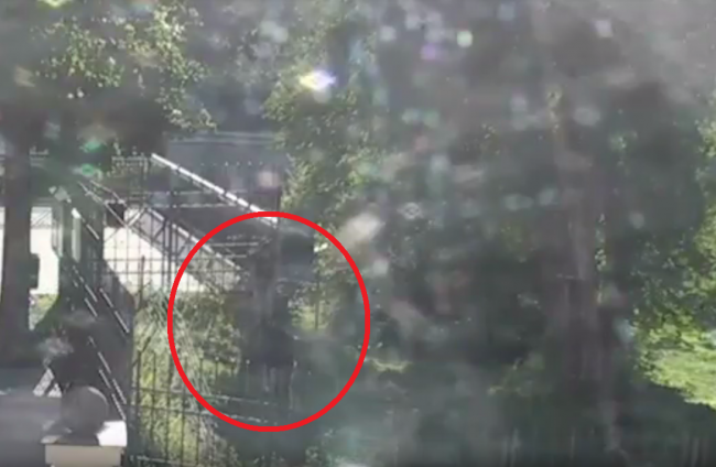 Video: Muža vážne zranila medvedica. Videozáznam ukázal, ako sa to stalo