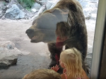 Video: Medveď dal návštevníkom zoo lekciu, akú asi nečakali