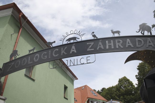Zoologická záhrada v Bojniciach privítala 23-miliónteho návštevníka