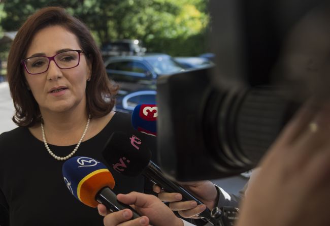 LUBYOVÁ: Pokúsim sa získať prostriedky na celonárodné testovanie piatakov