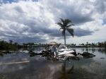 Mexiko ohrozuje nový hurikán prvej kategórie