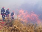 Lesné požiare v okolí Marseille mal na svedomí 14-ročný školák