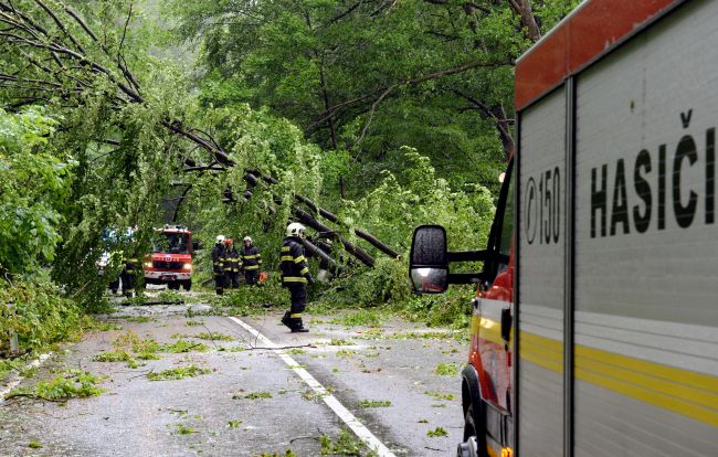 Hasiči v noci odstraňovali na niekoľkých miestach popadané stromy z ciest