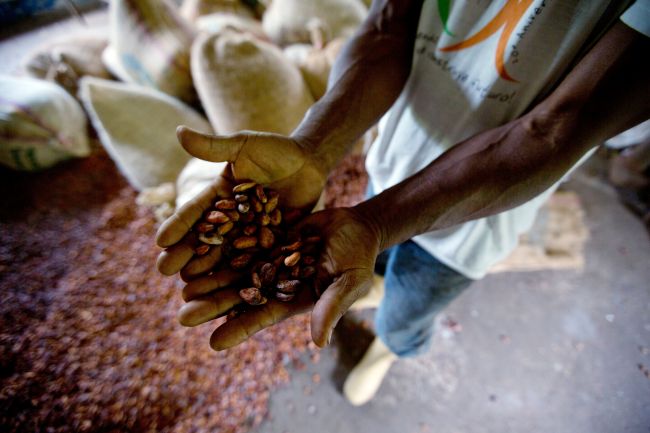 Africkí producenti kakaových bôbov chcú väčší diel zo ziskov z kakaa