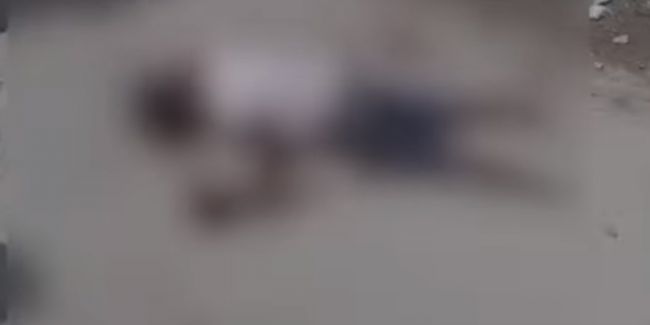 Video: Na chlapca zaútočilo 17 psov, okoloidúci si jeho trápenie kamerovali