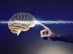 Vedci po prvýkrát pripojili ľudský mozog k internetu