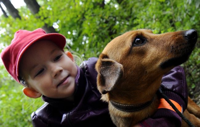 Svetový deň zvierat: 4. 10. môže človek zhodnotiť svoj postoj k živočíšnej ríši