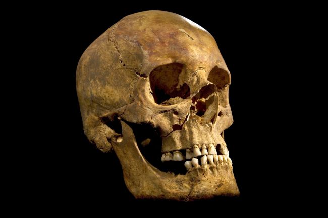 Úrady vyšetrujú pôvod vyše 1000 historických ľudských lebiek z Afriky