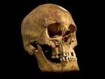 Úrady vyšetrujú pôvod vyše 1000 historických ľudských lebiek z Afriky