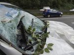 Poprednú nemeckú novinárku zabil počas búrky Xavier padajúci strom