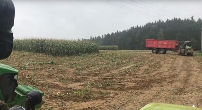 Video: Českým poľnohospodárom sa pri žatve naskytol pohľad, aký sa vidí málokedy