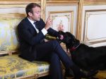 Video: Pes Emmanuela Macrona prerušil veľmi vtipne rozhovor. To musíte vidieť!
