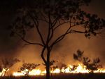 V Brazílii horí národný park, zasahujú hasiči a takmer 200 dobrovoľníkov