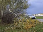 ČR: Po víkendovej víchrici môžu byť škody vyššie než po orkáne v roku 2008