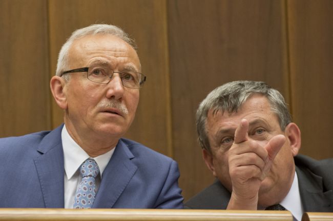 Zelník: SNS má podstatne na viac, budeme si spytovať svedomie