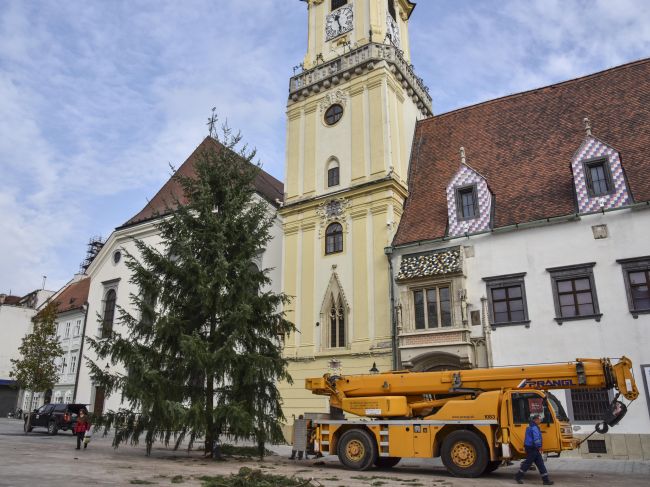 Na bratislavskom Hlavnom námestí osadili vianočný stromček